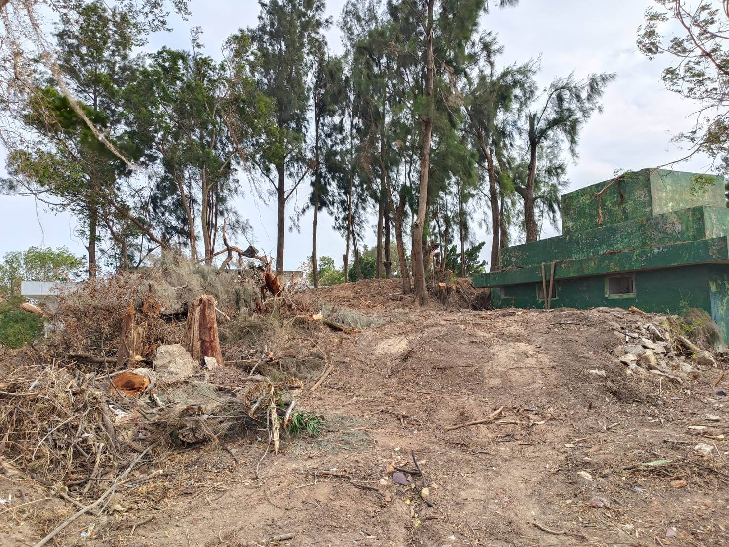 光華園基地整地破壞水獺棲息地  觀光處提說明