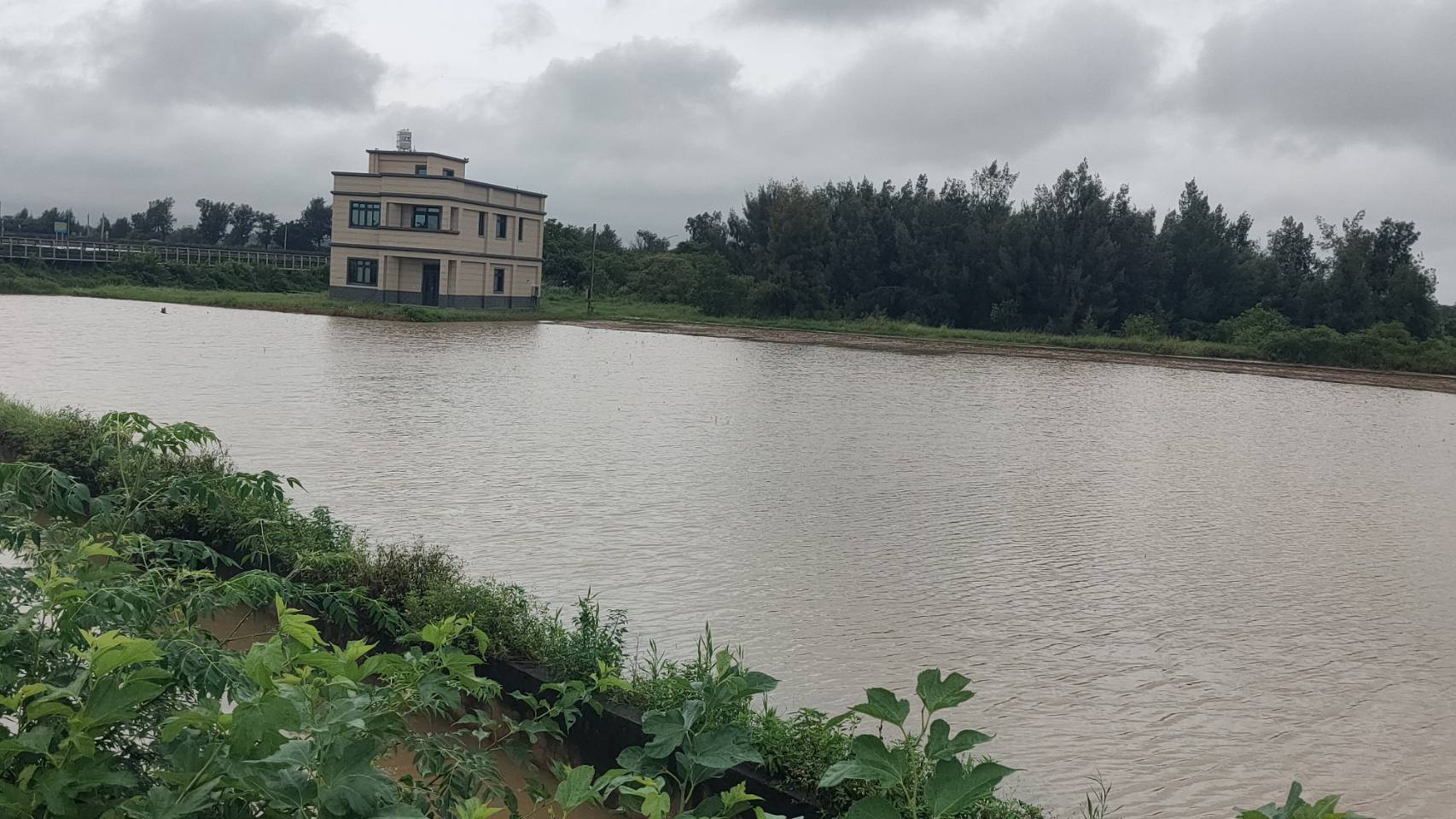 快訊!金門豪雨成災 旅館淹水.稻田變水田