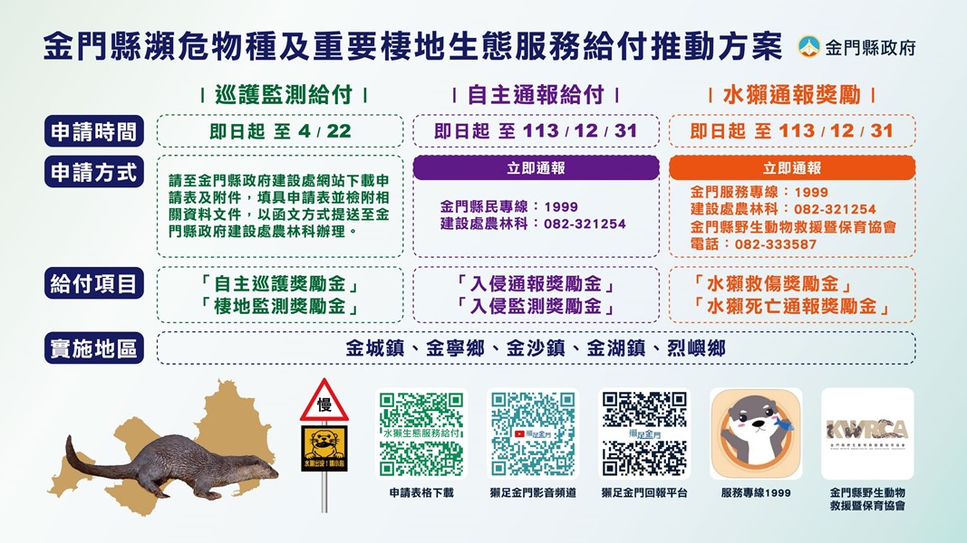 金門拍攝到水獺影像就給5萬元獎勵金 即日起受理申請