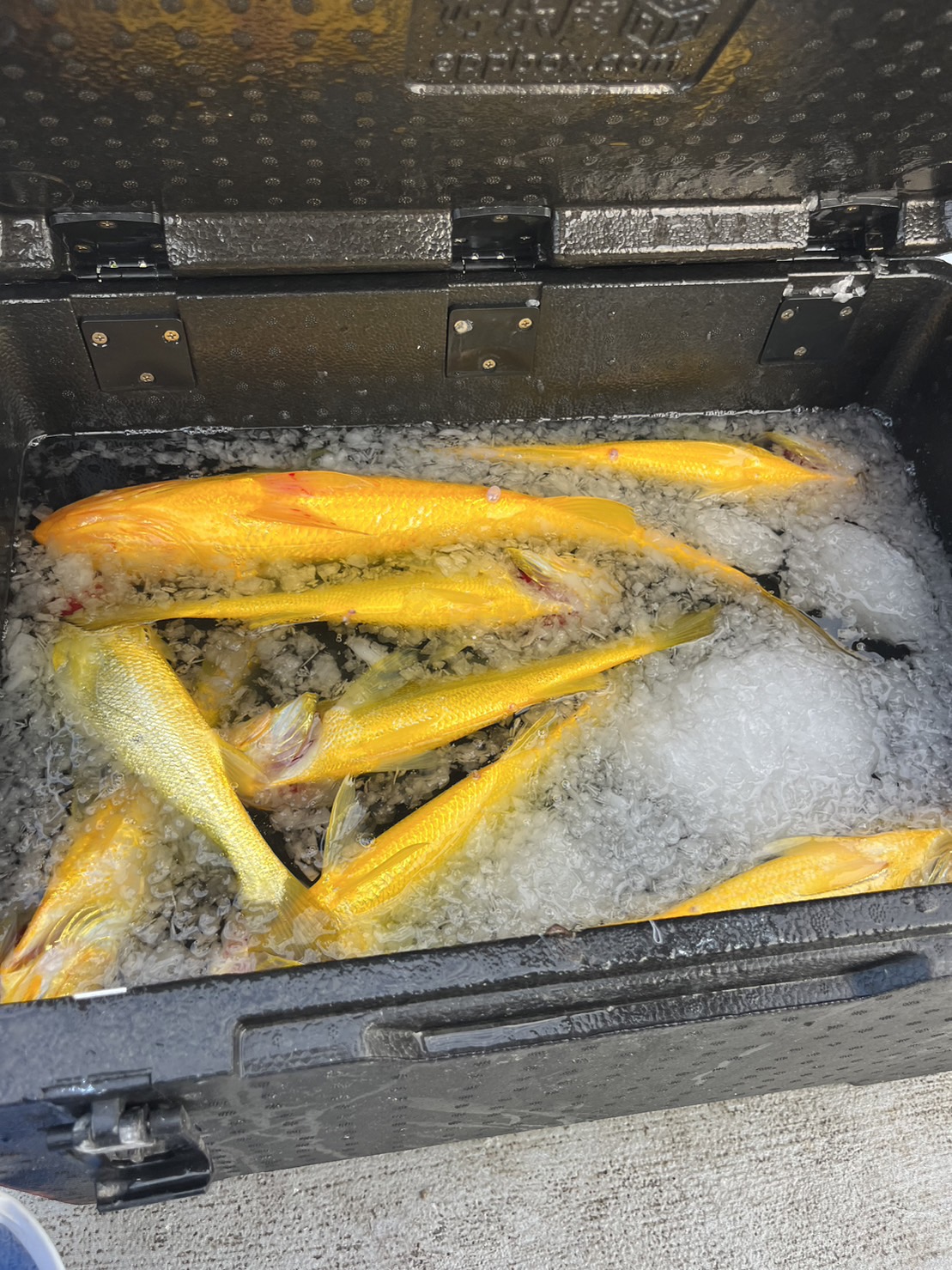 金門黃魚鮮湯,黃魚肉質鮮嫩,湯汁厚實味美 金門黃魚鮮湯,黃魚肉質鮮嫩,湯汁厚實味美