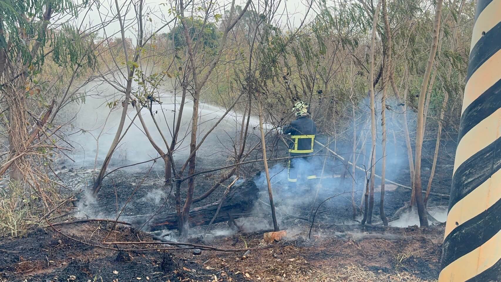 一天五起雜草火警 金門警消疲於奔命救災 一天五起雜草火警 金門警消疲於奔命救災