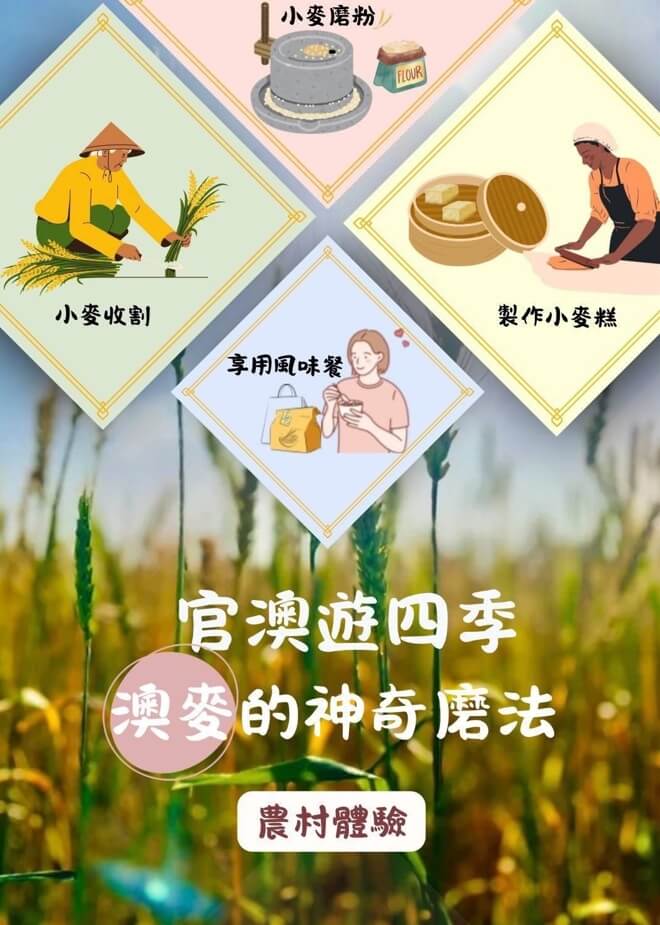 【官澳小麥體驗回顧】走進金門麥田 感受《澳麥的神奇磨法》農村魅力！