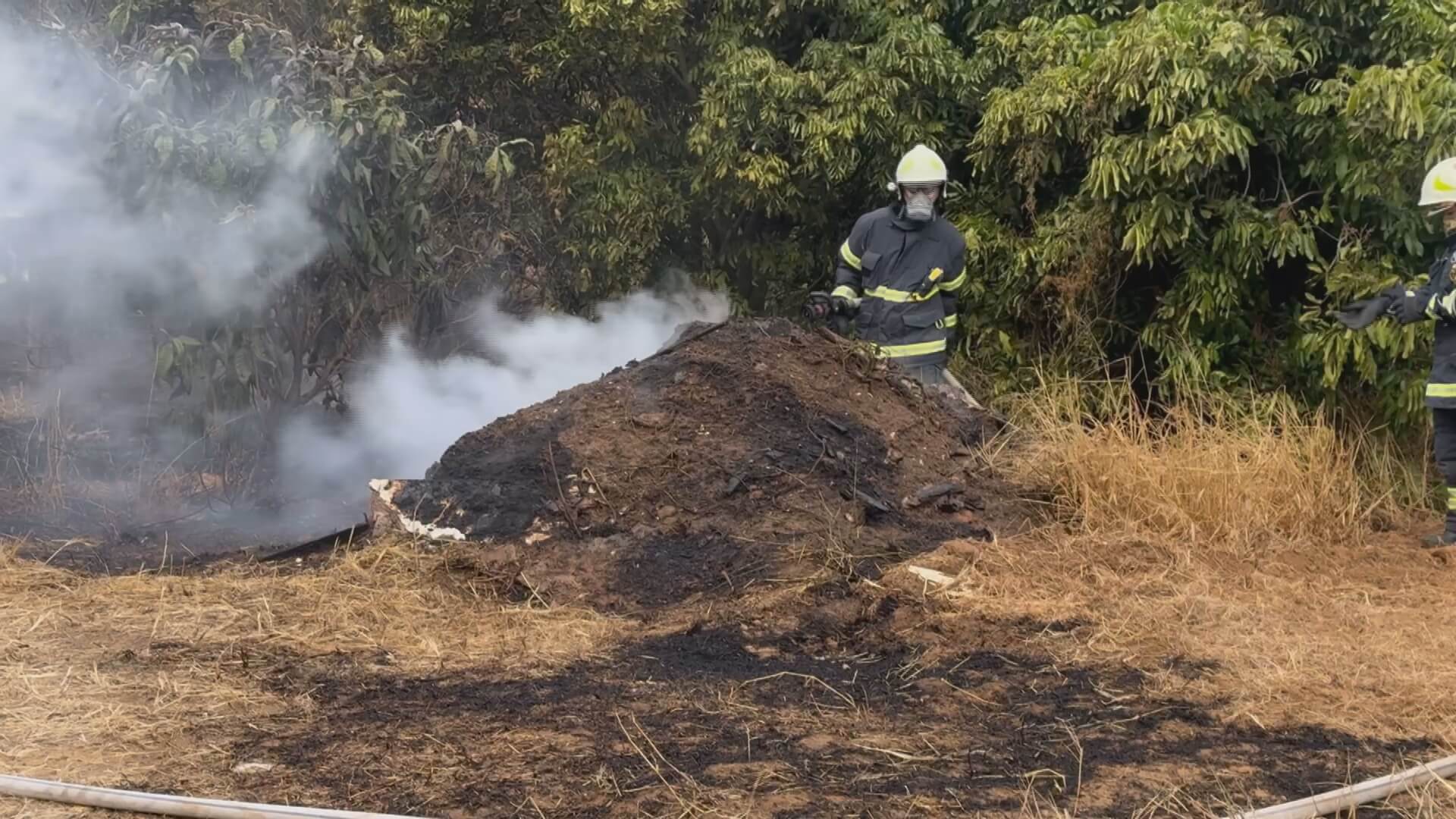 金寧鄉大學路附近雜草火警 消防局迅速前往搶救