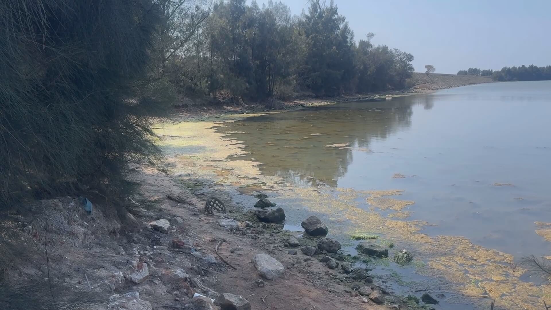 金門慈湖泥化引關注　金管處：屬季節潮汐變化將持續監測