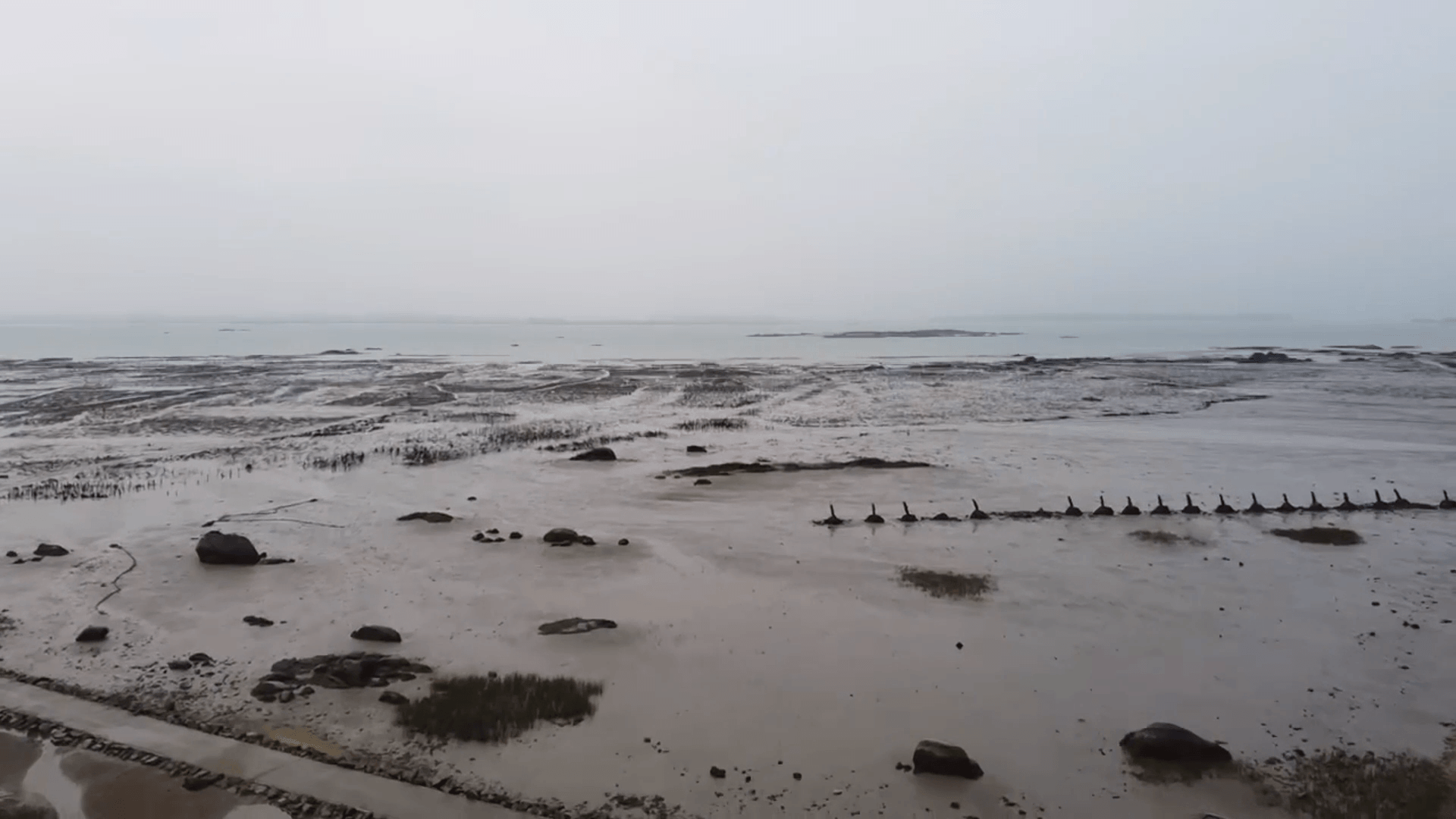 議會視察金廈大橋金門端預定地 關注新四通與區域發展 議會視察金廈大橋金門端預定地 關注新四通與區域發展