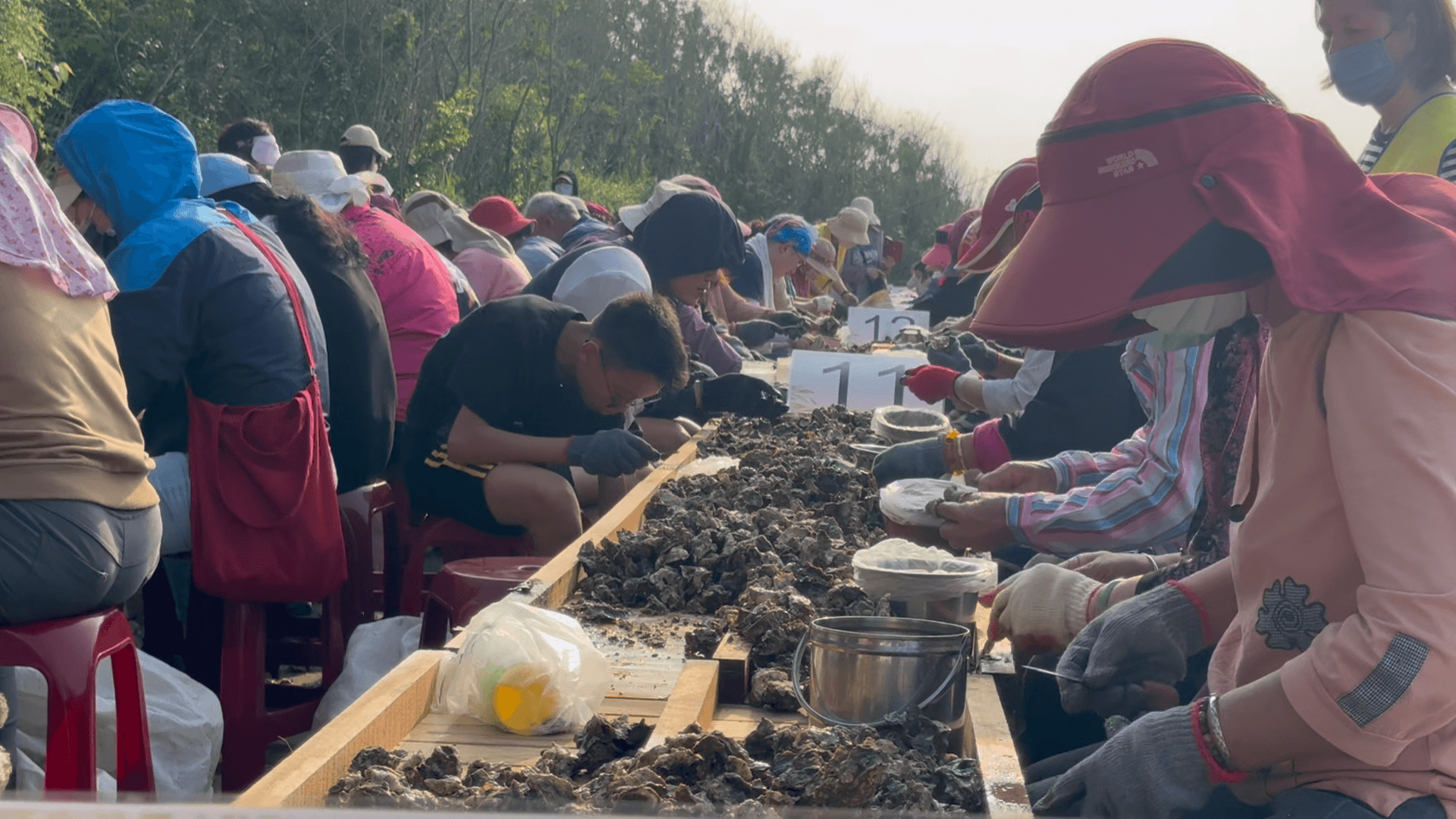千人剝蚵熱鬧背後石蚵產業面臨傳承危機