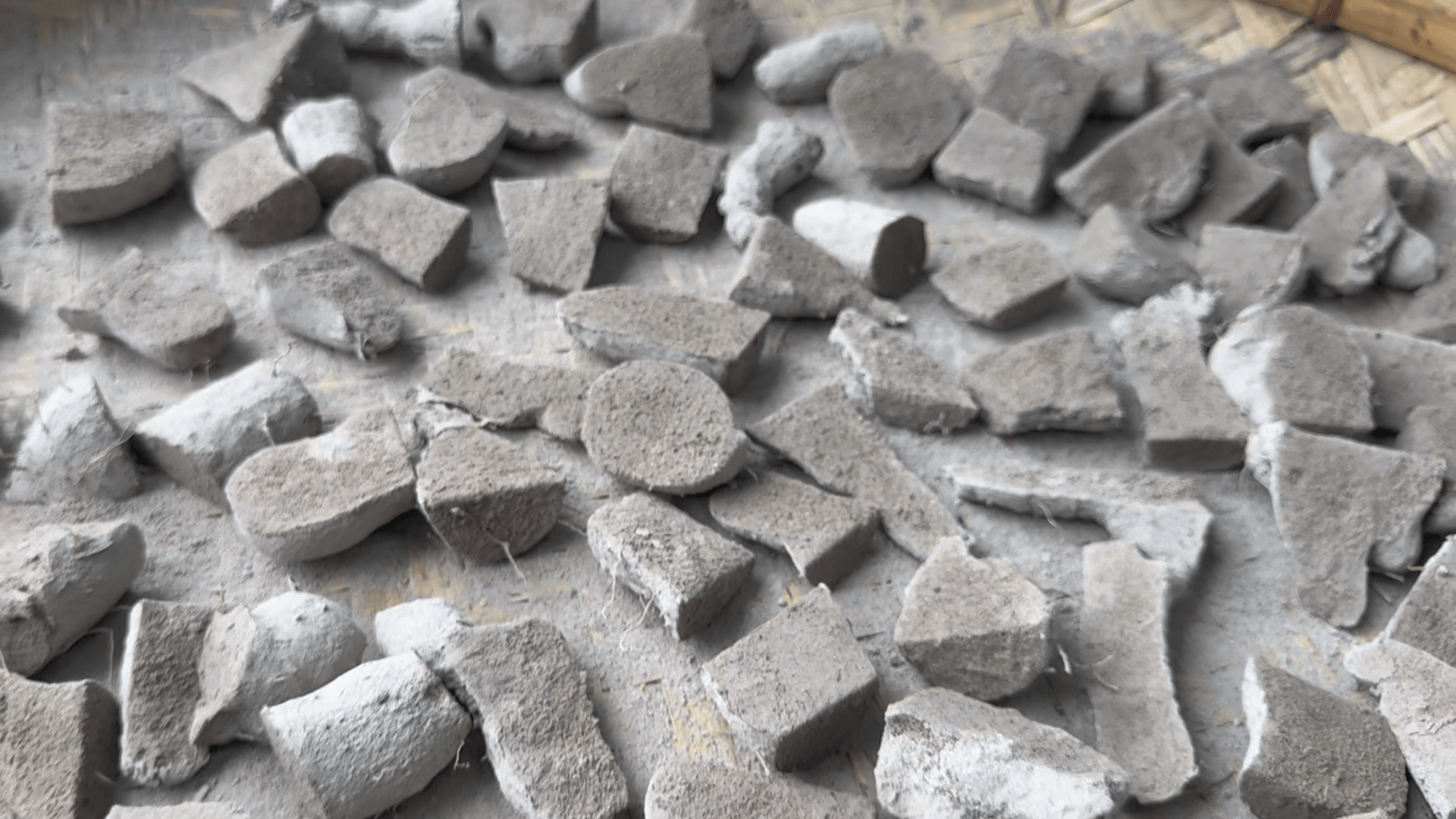 金門農試所販售山藥薯塊　農友可把握機會選購