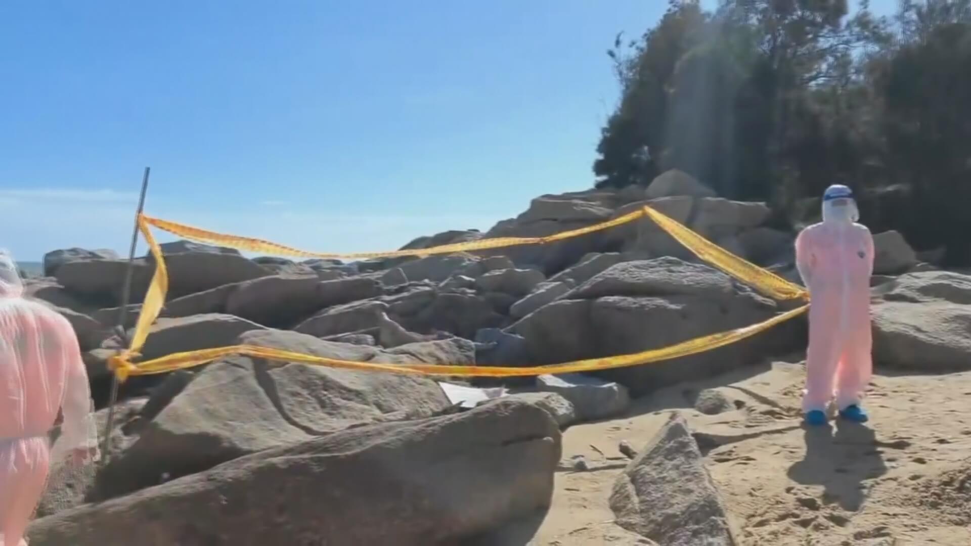 海漂豬屍驗出非洲豬瘟 金門豬肉暫停輸台一週 海漂豬屍驗出非洲豬瘟 金門豬肉暫停輸台一週