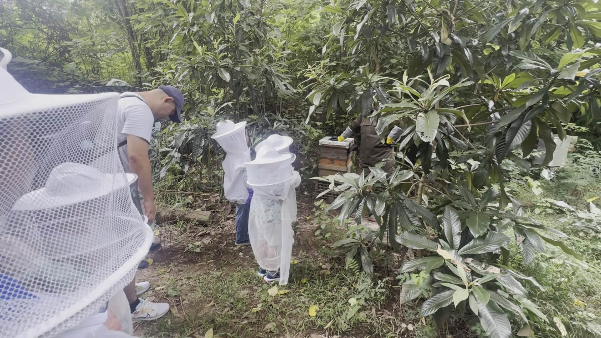 島嶼甜蜜慢生活　走訪烈嶼體驗蜂園與聚落文化