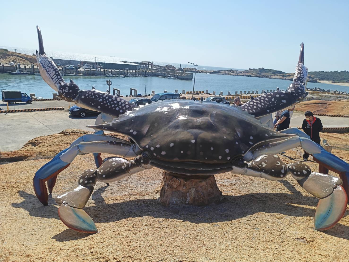 超大螃蟹路上走!金門金湖最新打卡點嗆蟹”鋼雕