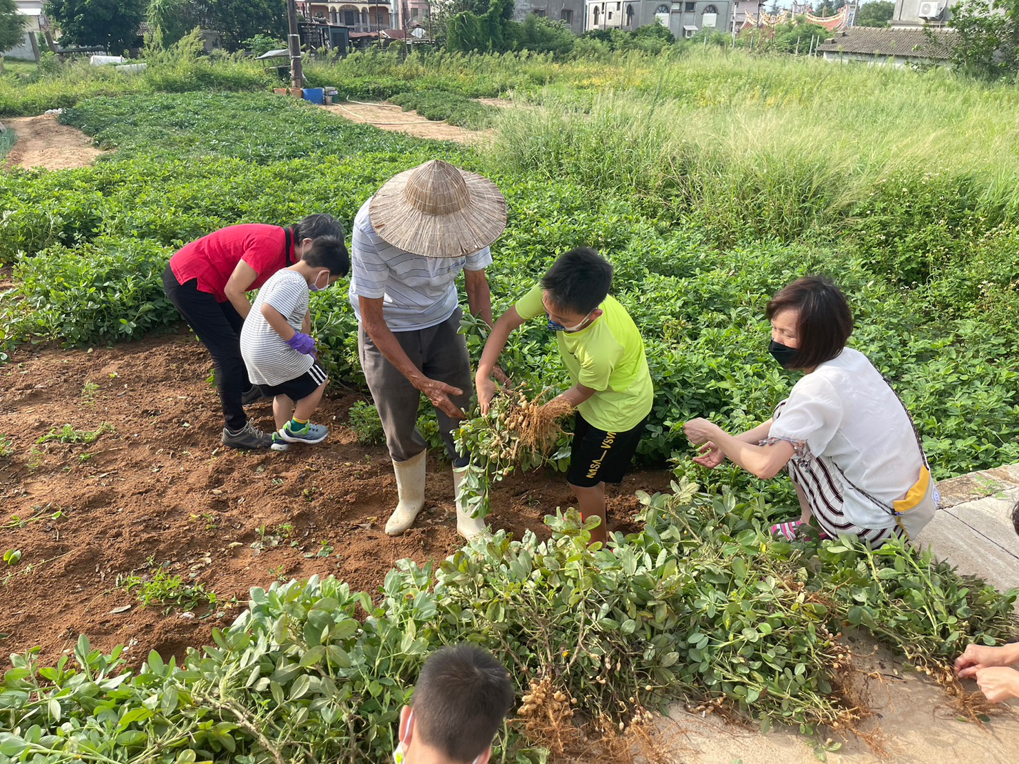 LINE_ALBUM_1120813_拔花生_捻🥜_230814_4