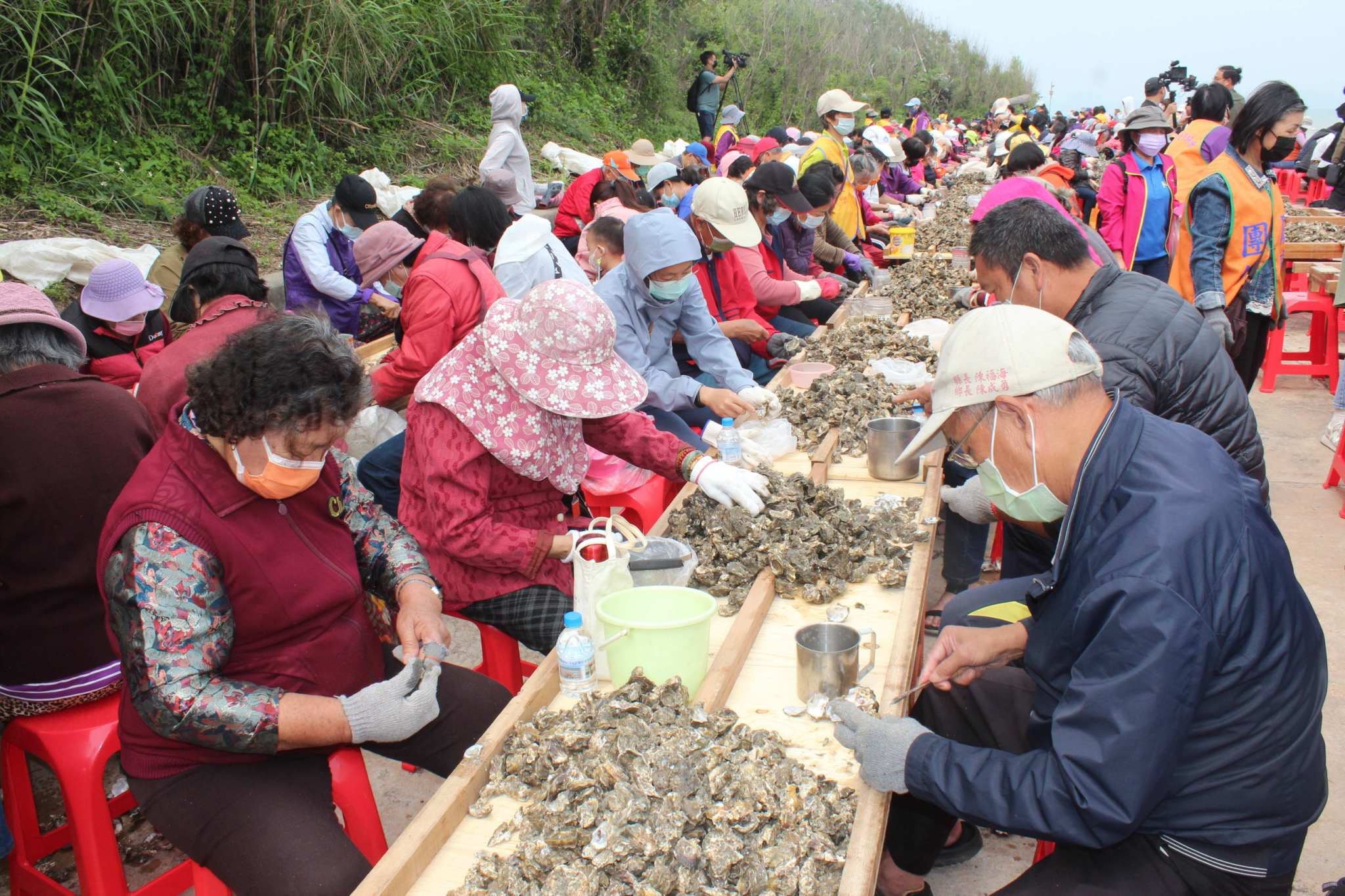 金寧鄉千人剝蚵體驗敲定5月4、5日喔!