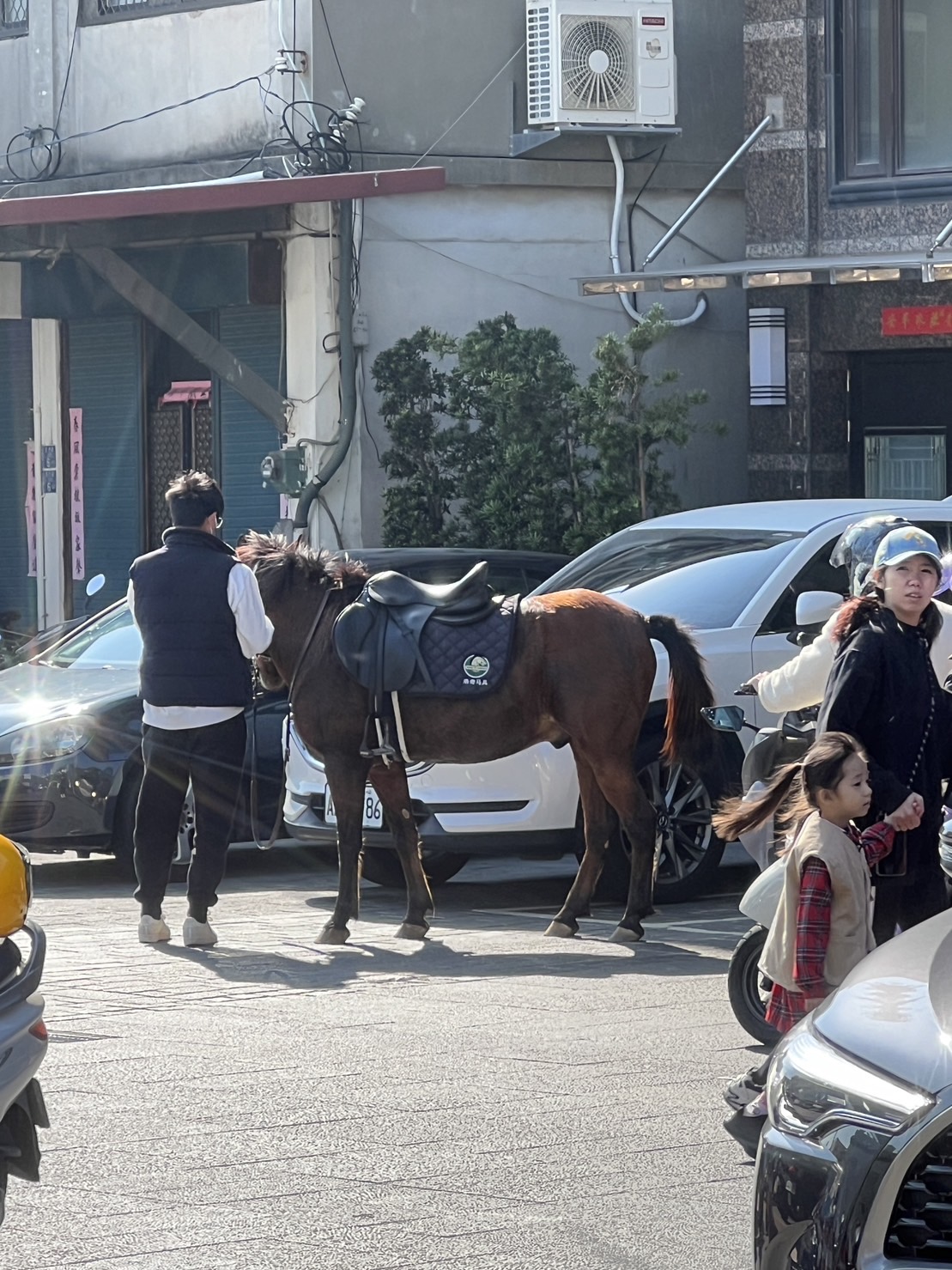 怕找不到停車位!金門男「騎馬投票」