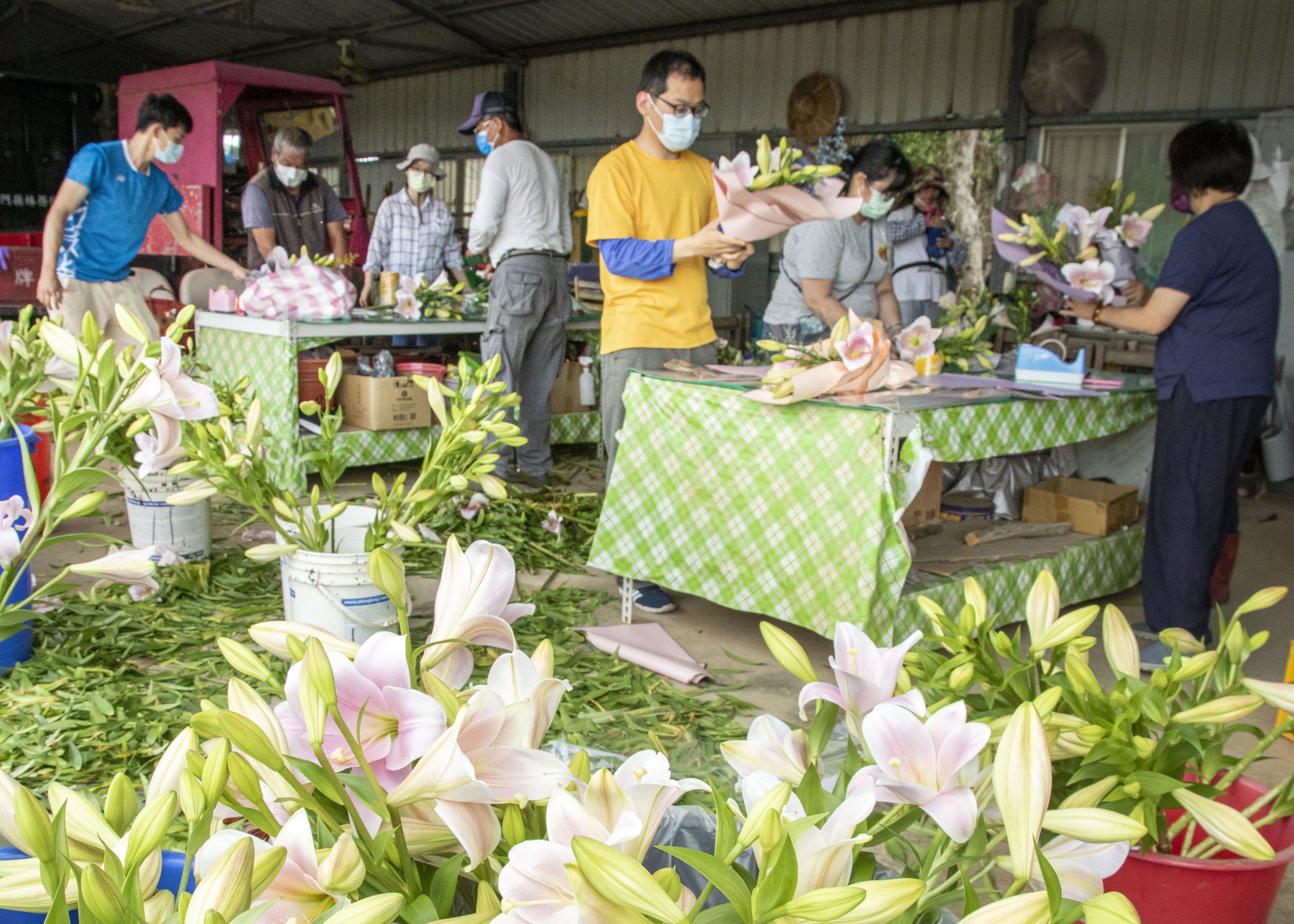 花香快閃 金門林務所贈送百合花束為防疫人員加油打氣 花香快閃 金門林務所贈送百合花束為防疫人員加油打氣