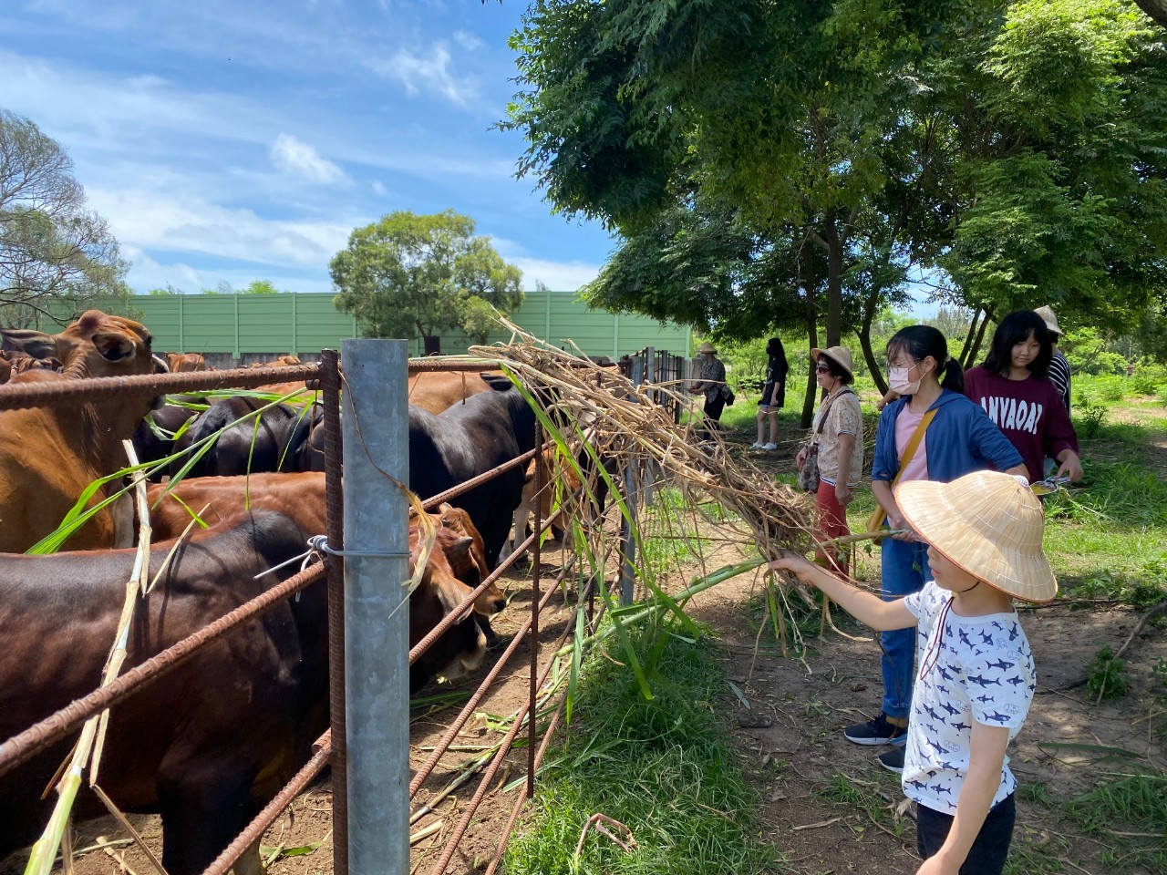 圓頭為家庭締造親子情感 邀請家扶體驗養牛