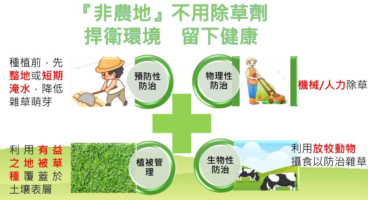 金門縣環保局:非農地不用除草劑,環境更乾淨 金門縣環保局:非農地不用除草劑,環境更乾淨